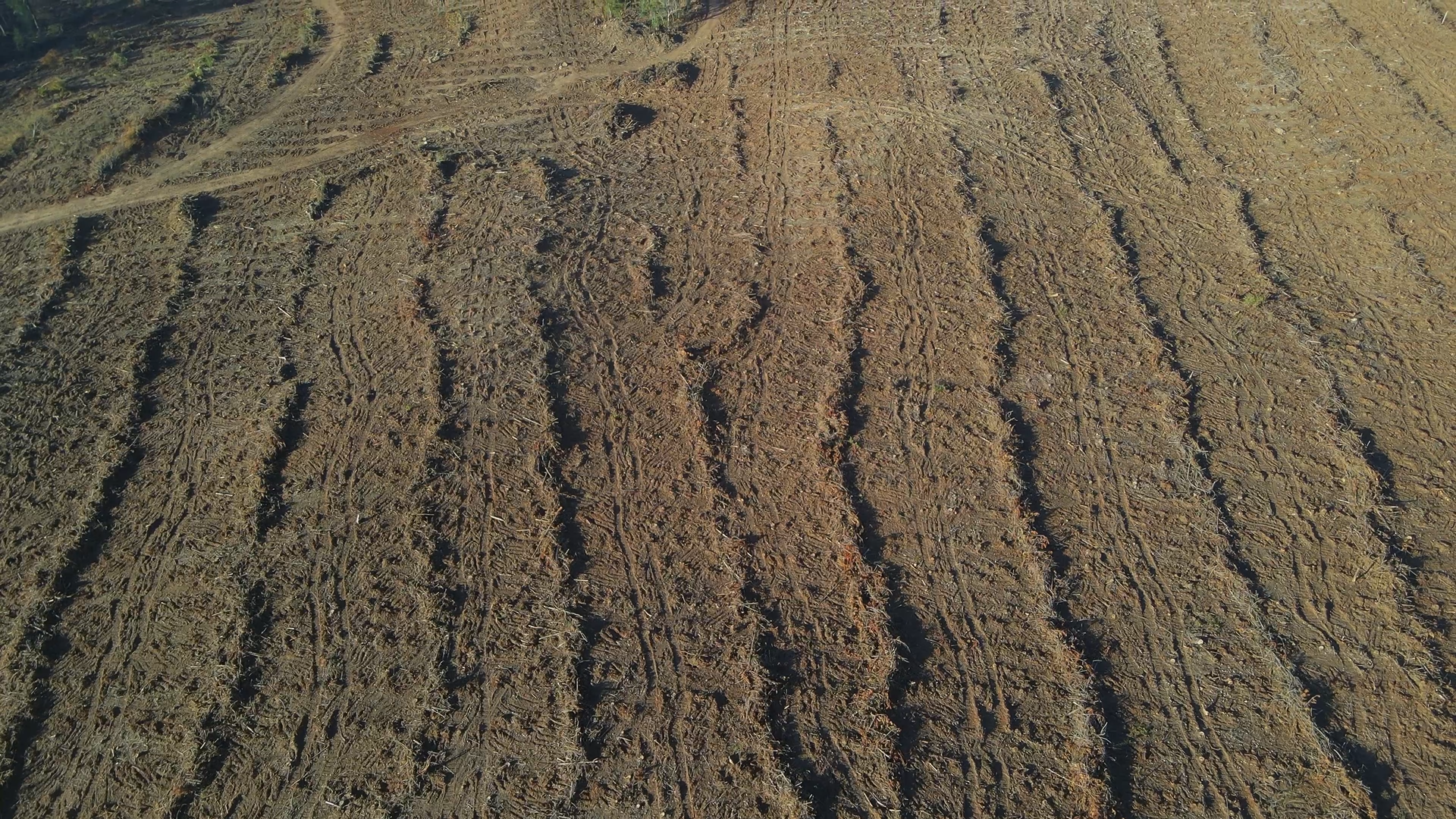Forestal y Agrícola Hinojosa – operaciones