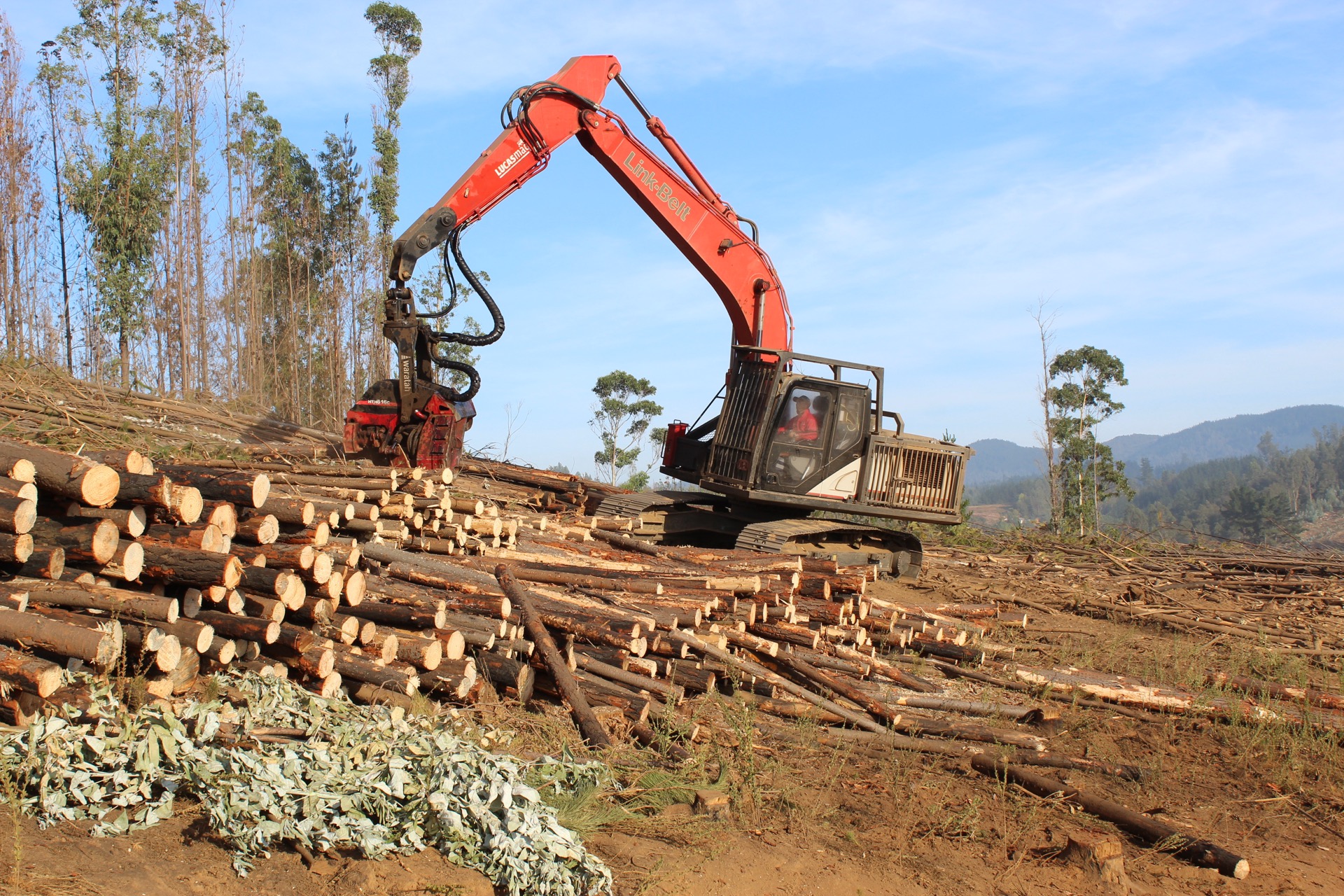 Maquinaria forestal en operación