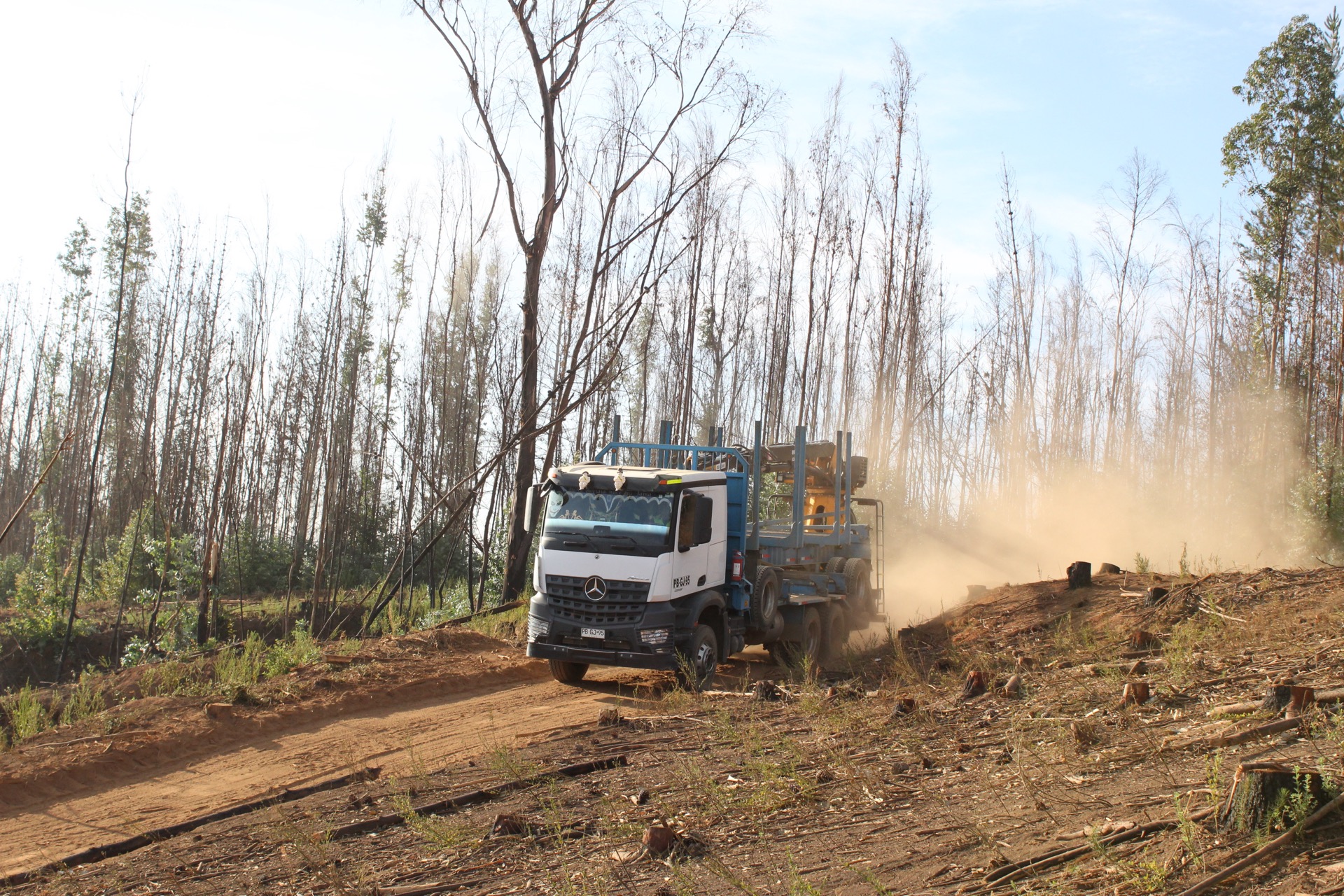 Transportes Nicalquen – transporte y logística forestal